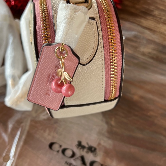 COACH Heart Crossbody In Signature Canvas With Heart Cherry Print NEW - Picture 14 of 14